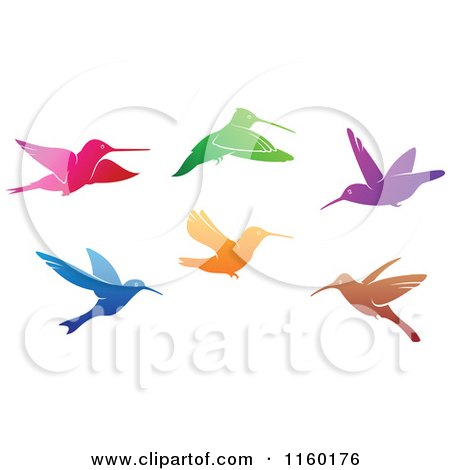Clipart of Gradient Hummingbirds - Royalty Free Vector Illustration by Vector Tradition SM