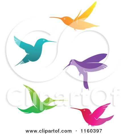 Clipart of Colorful Hummingbirds - Royalty Free Vector Illustration by Vector Tradition SM