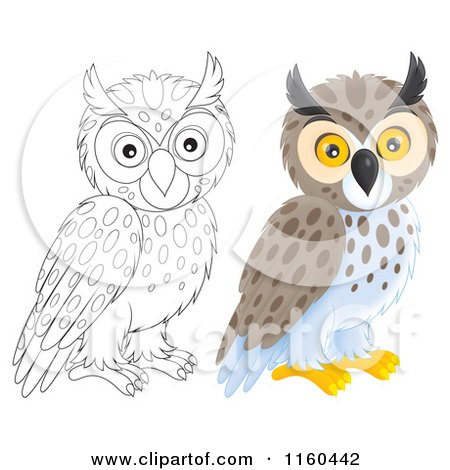 Cartoon of Outlined and Colored Spotted Owls - Royalty Free Clipart by Alex Bannykh