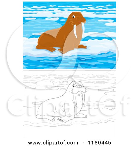 Cartoon of Outlined and Brown Walruses on Ice - Royalty Free Vector Clipart by Alex Bannykh