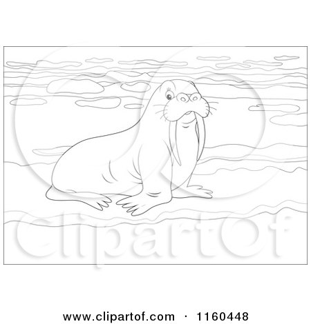 Cartoon of an Outlined Walrus on Ice - Royalty Free Vector Clipart by Alex Bannykh