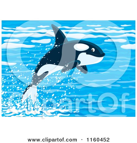 Cartoon of a Cute Orca Whale Leaping out of Water - Royalty Free Vector Clipart by Alex Bannykh