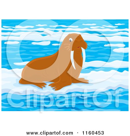 Cartoon of a Brown Walrus on Ice - Royalty Free Vector Clipart by Alex Bannykh
