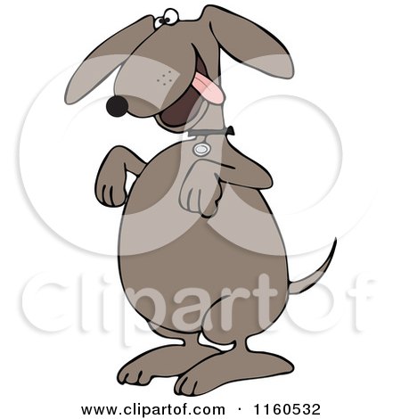 Cartoon of a Begging Dog - Royalty Free Vector Clipart by djart