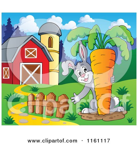 Cartoon of a Rabbit Pulling a Giant Carrot by a Barn - Royalty Free Vector Clipart by visekart