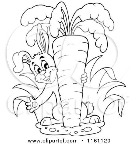 Cartoon of an Outlined Bunny Pulling a Carrot from the Ground - Royalty Free Vector Clipart by visekart