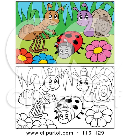 Cartoon of Outlined and Colored Bugs and Flowers - Royalty Free Vector Clipart by visekart