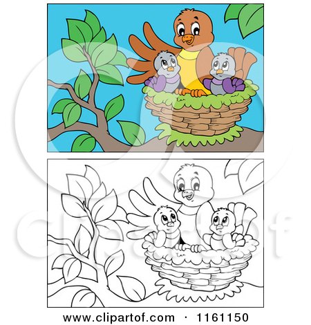 Cartoon of Outlined and Colored Chicks and a Mother in a Nest - Royalty Free Vector Clipart by visekart
