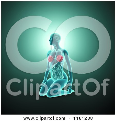 Clipart of a 3d Woman Kneeling with Visible Anatomy over Green - Royalty Free CGI Illustration by Mopic
