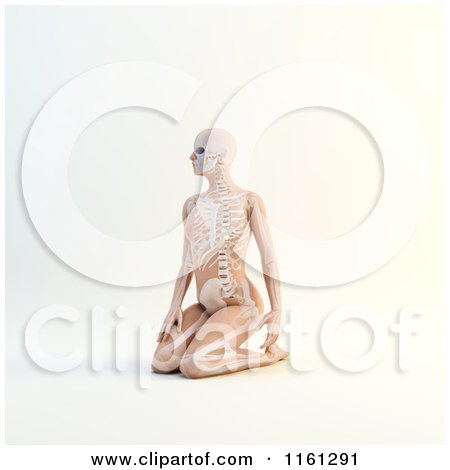 Clipart of a 3d Woman Kneeling with Visible Skeleton - Royalty Free CGI Illustration by Mopic