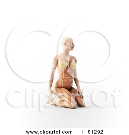 Clipart of a 3d Woman Kneeling with Visible Anatomy - Royalty Free CGI Illustration by Mopic