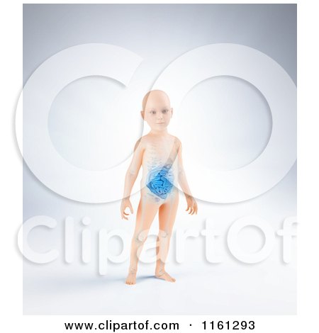 Clipart of a 3d Child Standing with a Visible Digestive System - Royalty Free CGI Illustration by Mopic