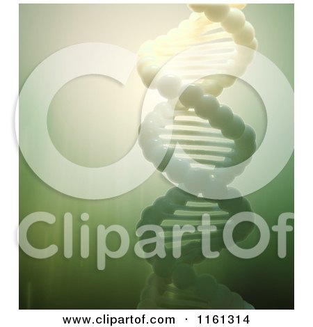Clipart of a 3d Green Dna Strand Model with Light - Royalty Free CGI Illustration by Mopic
