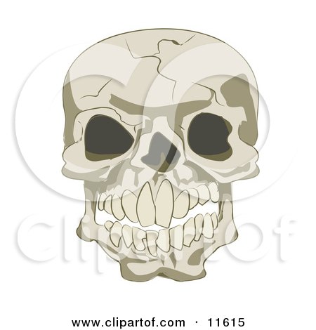 Cracked Human Skull Posters, Art Prints