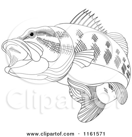 Clipart of a Black and White Bass Fish - Royalty Free Vector Illustration by Pushkin