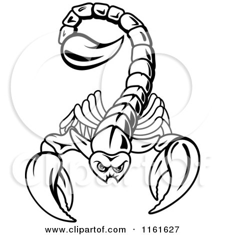 Clipart of a Black and White Scorpion - Royalty Free Vector Illustration by Vector Tradition SM