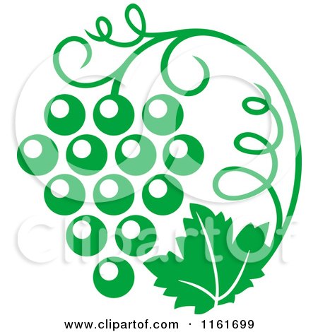 Clipart of a Green Grape Vine and Bunch - Royalty Free Vector Illustration by Vector Tradition SM