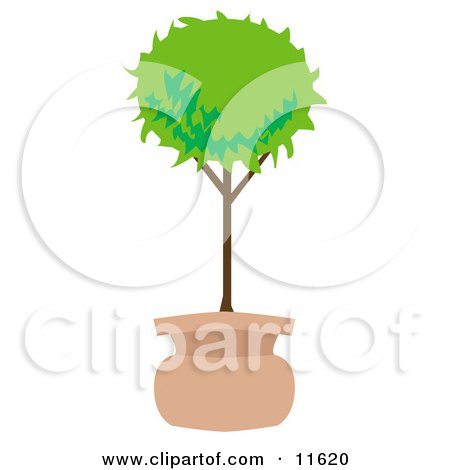 Potted Tree in the Shape of a Ball Clipart Illustration by AtStockIllustration
