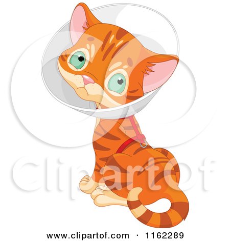 Cartoon of a Cute Ginger Kitten Wearing a Cone Elizabethan Collar - Royalty Free Vector Clipart by Pushkin
