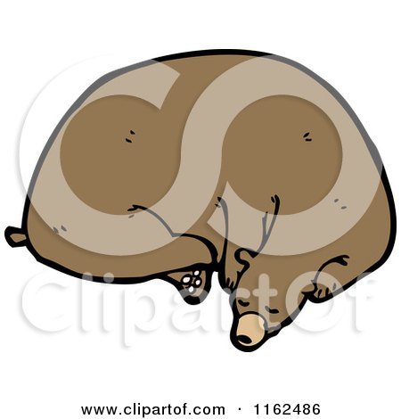 Cartoon of a Resting Brown Bear - Royalty Free Vector Illustration by lineartestpilot