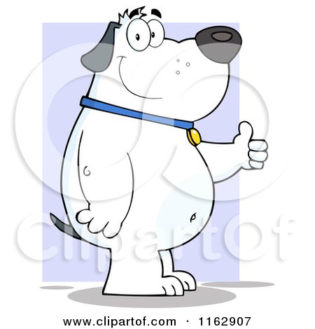 Cartoon of a Happy Chubby White Dog Standing and Holding a Thumb up over Purple - Royalty Free Vector Clipart by Hit Toon
