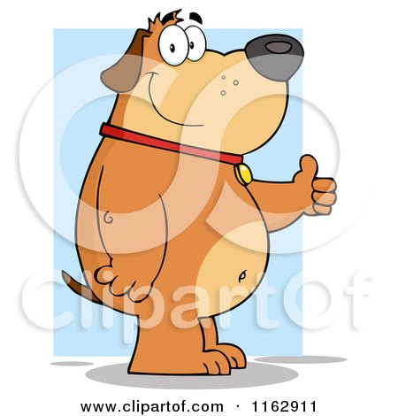 Cartoon of a Happy Chubby Brown Dog Standing and Holding a Thumb up over Blue - Royalty Free Vector Clipart by Hit Toon
