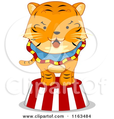 Cartoon of a Circus Tiger on a Platform - Royalty Free Vector Clipart by BNP Design Studio