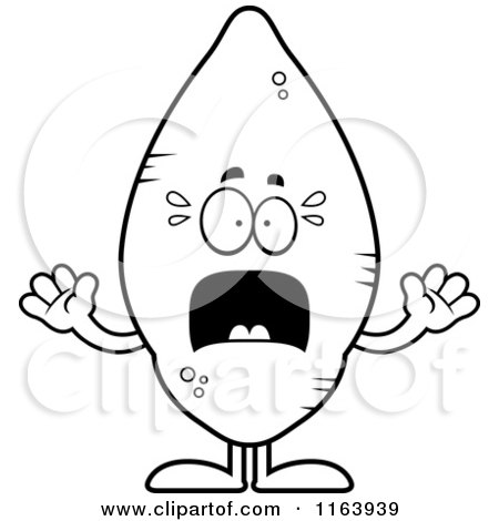 Cartoon of a Scared Sweet Potato Mascot - Vector Outlined Coloring Page by Cory Thoman