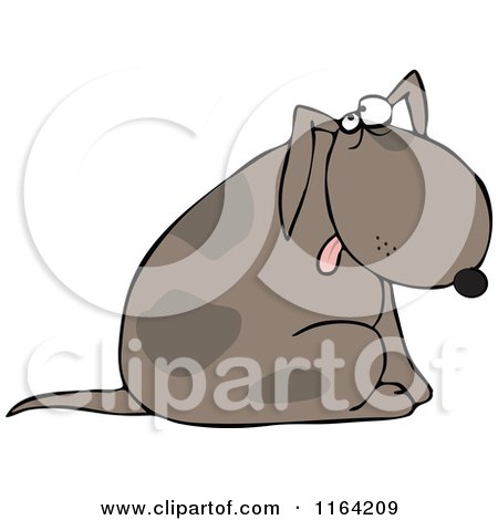 Cartoon of a Dog Sitting and Glancing Upwards - Royalty Free Vector Clipart by djart
