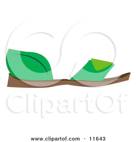 Flat Green Sandals Clipart Picture by AtStockIllustration