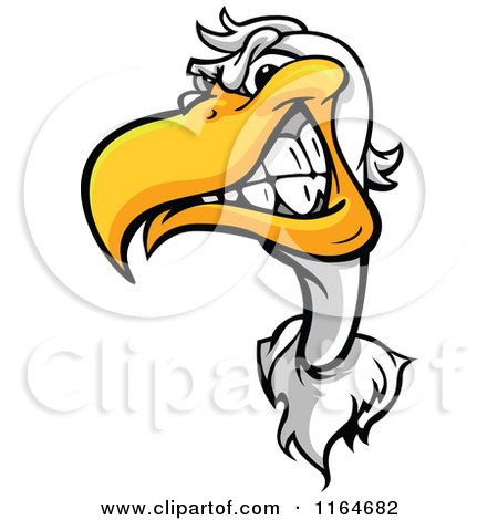 Cartoon of an Aggressive Seagull Mascot - Royalty Free Vector Clipart by Chromaco