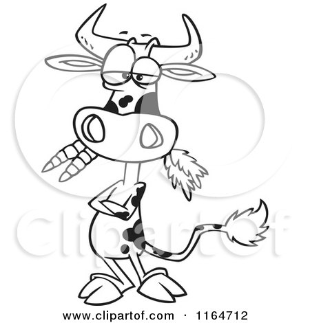 Cartoon of an Outlined Cow with Folded Arms, Munching on Carrots - Royalty Free Vector Clipart by toonaday