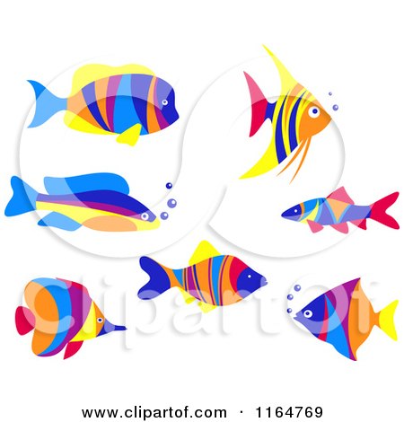 Clipart of Colorful Marine Fish - Royalty Free Vector Illustration by Vector Tradition SM