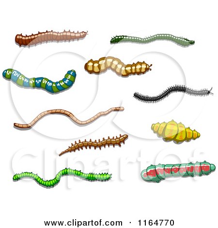 Clipart of Worms and Grubs - Royalty Free Vector Illustration by Vector Tradition SM