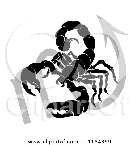 Clipart of a Black and White Horoscope Zodiac Astrology Scorpio Scorpion and Sybmol - Royalty Free Vector Illustration by AtStockIllustration
