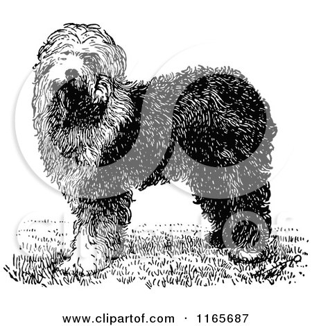 Clipart of a Retro Vintage Black and White Old English Sheepdog - Royalty Free Vector Illustration by Prawny Vintage
