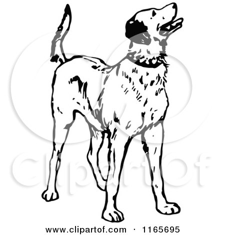 Clipart of a Retro Vintage Black and White Dog Looking up - Royalty Free Vector Illustration by Prawny Vintage
