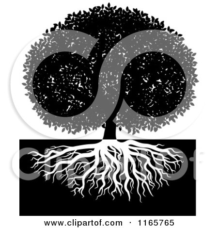 Clipart of a Black and White Lush Tree and Roots 2 - Royalty Free Vector Illustration by Vector Tradition SM