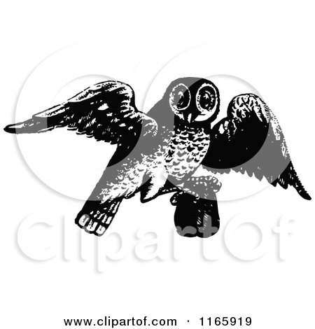 Clipart of a Retro Vintage Black and White Owl Flying with a Pourch - Royalty Free Vector Illustration by Prawny Vintage