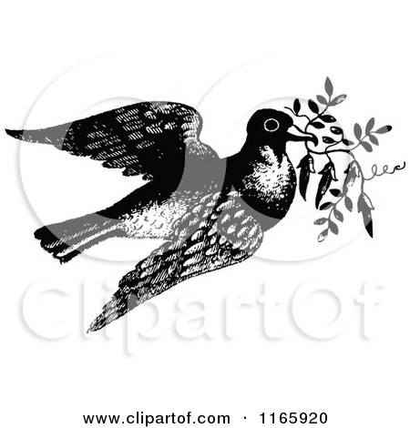 Clipart of a Retro Vintage Black and White Pigeon Flying with a Branch - Royalty Free Vector Illustration by Prawny Vintage