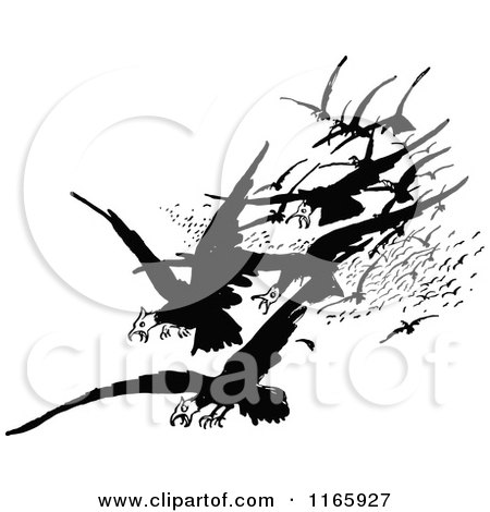 Clipart of a Retro Vintage Black and White Group of Attacking Birds of Prey - Royalty Free Vector Illustration by Prawny Vintage