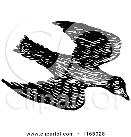 Clipart of a Retro Vintage Black and White Flying Bird - Royalty Free Vector Illustration by Prawny Vintage