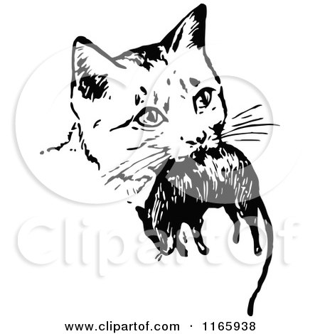 Clipart of a Retro Vintage Black and White Cat with a Mouse - Royalty Free Vector Illustration by Prawny Vintage