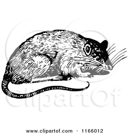 Clipart of a Retro Vintage Black and White Rat - Royalty Free Vector Illustration by Prawny Vintage