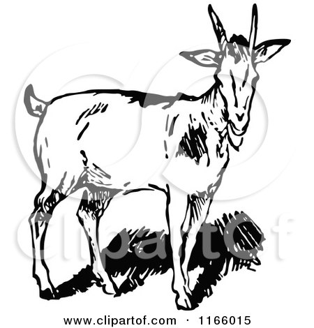Clipart of a Retro Vintage Black and White Goat - Royalty Free Vector Illustration by Prawny Vintage