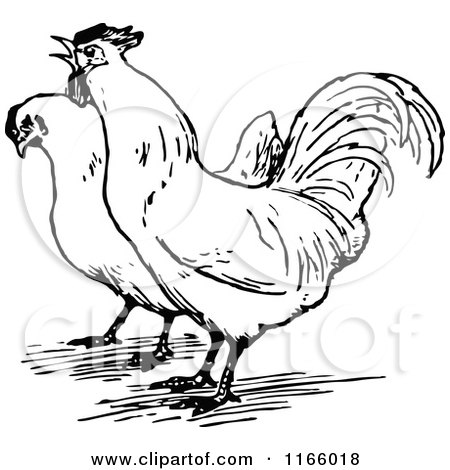 rooster clipart black and white