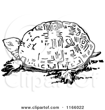 Clipart of a Retro Vintage Black and White Tortoise - Royalty Free Vector Illustration by Prawny Vintage