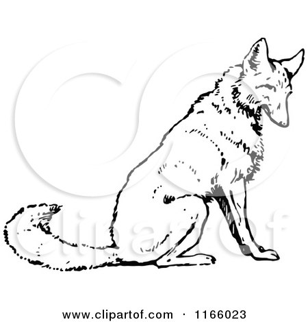 Clipart of a Retro Vintage Black and White Sitting Wolf - Royalty Free Vector Illustration by Prawny Vintage