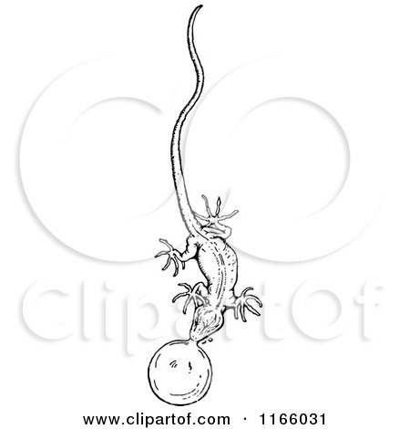 Clipart of a Retro Vintage Black and White Lizard Blowing a Bubble - Royalty Free Vector Illustration by Prawny Vintage