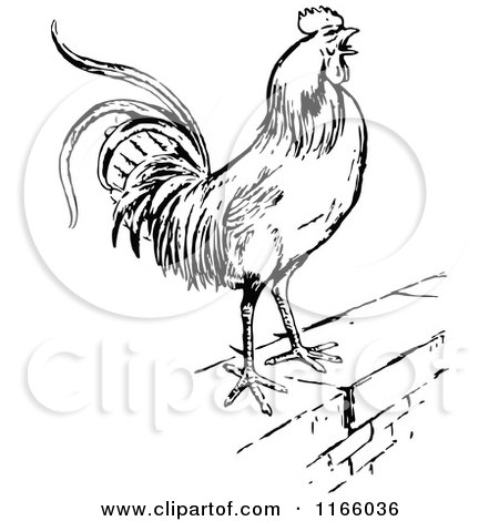 Clipart of a Retro Vintage Black and White Rooster on a Wall - Royalty Free Vector Illustration by Prawny Vintage
